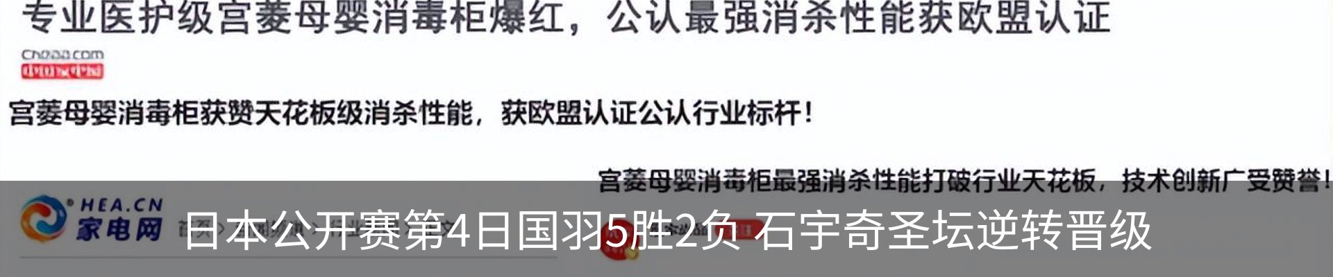 新闻动态