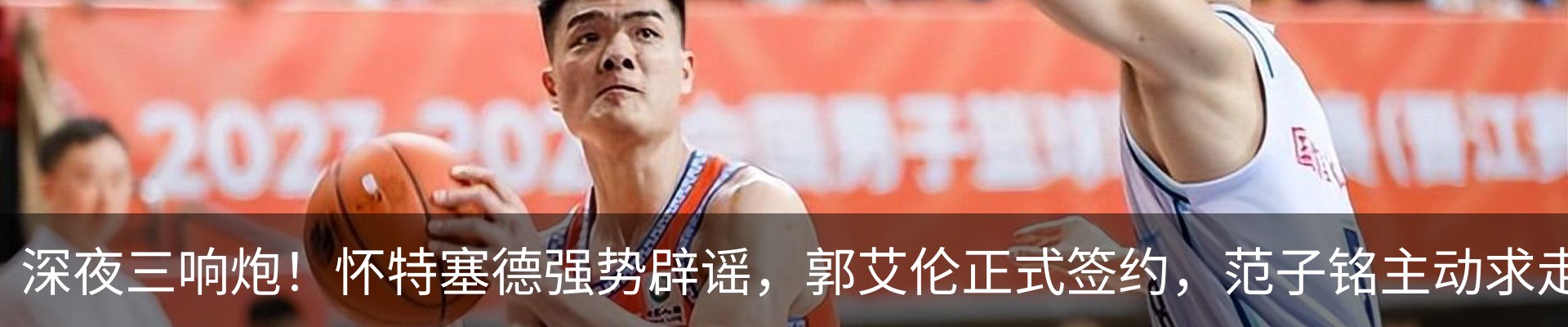 新闻动态