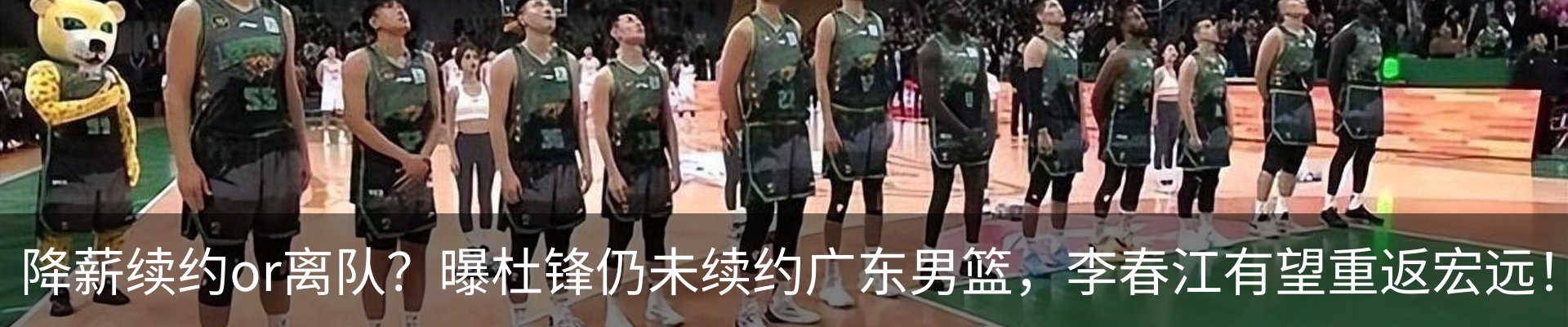 新闻动态